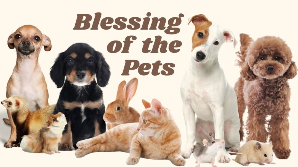 Blessing of the Pets
