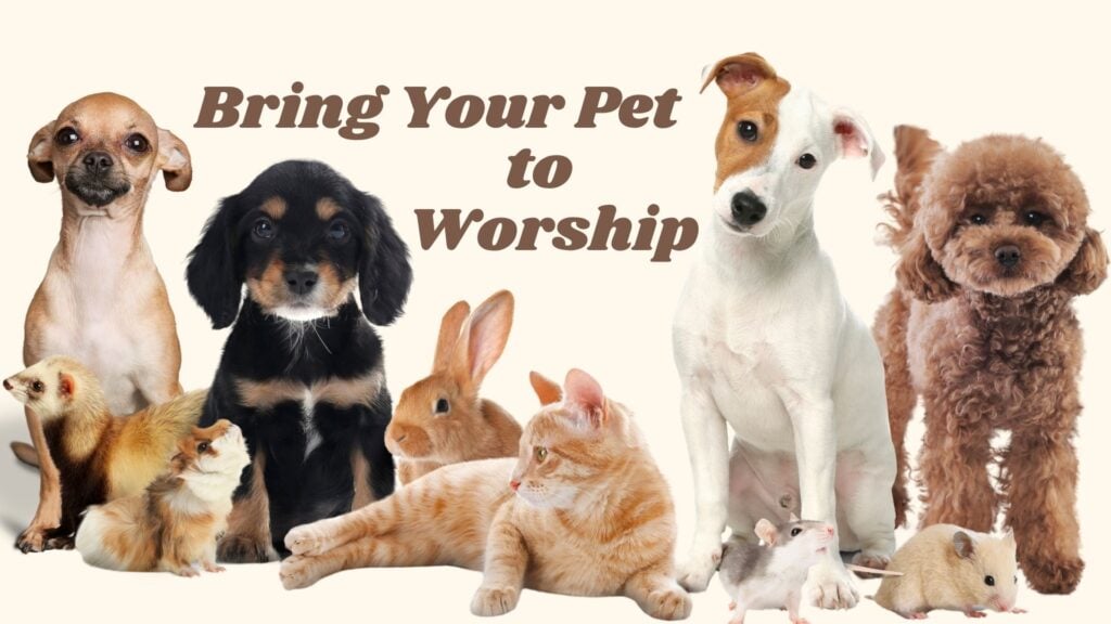 Bring Your Pet to Worship